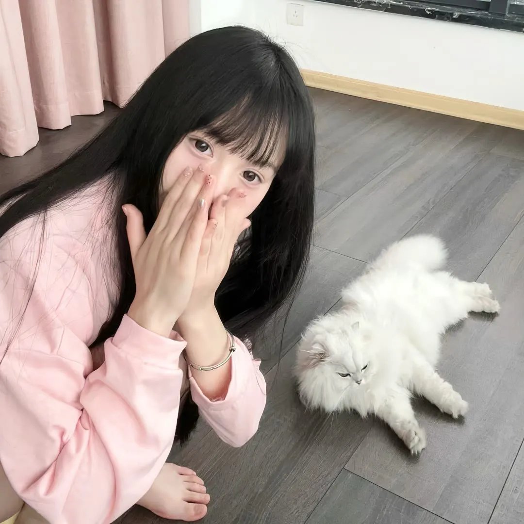 琴侠神枪