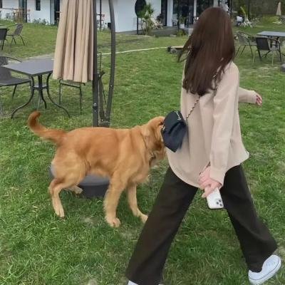 窈窕绅士